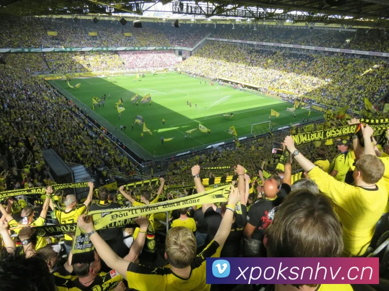 多媒体互动体验